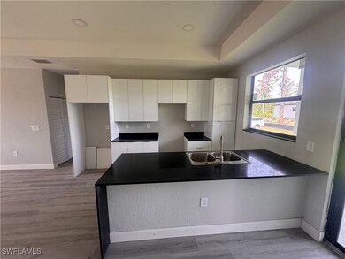 Kitchen with white cabinets, dark countertops, lig