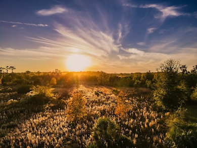 2351 NW 110th St, Chiefland, FL 32626 - photo 3