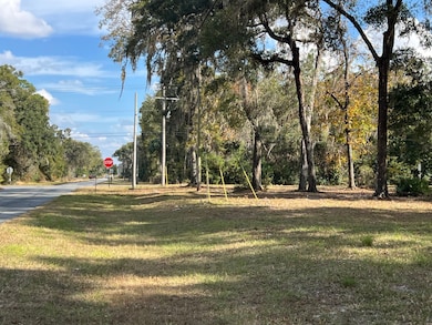 7050 NW 110th St, Chiefland, FL 32626 - photo 7