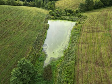 DJI_00941