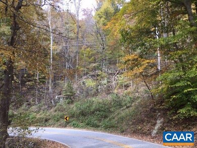 TBD Crabtree Falls Hwy, Tyro, VA 22976 - photo 4