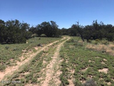 lot 21.5