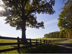 196 Old Stagecoach Ln, Statesville, NC 28625 - photo 3