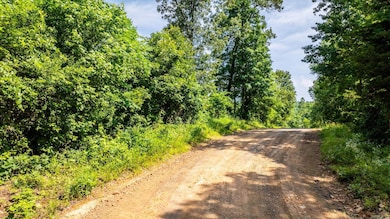 Tract 3 Harmony Mountain Rd, Clinton, AR 72031 - photo 5