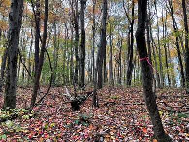 0 Revenge Rd SW unit 20 221045212, Lancaster, OH 43130 - photo 3