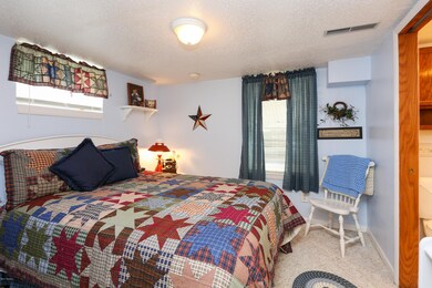 4386 Lake St, Bridgman, MI 49106 - photo 7