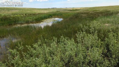 The vegetation shows you where the water lies.
