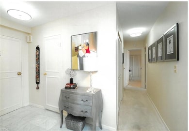 Virginia House unit 301, Virginia Beach, VA 23451 - photo 5