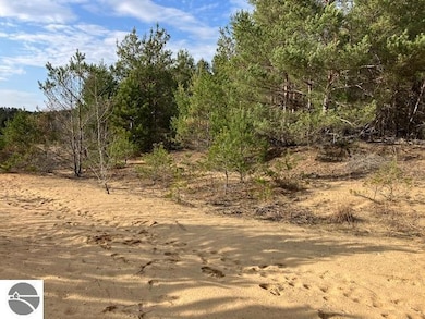 Parcel F-3 N 2 1 2 Rd, Hanover Township, MI 49620 - photo 5