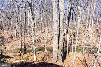 15815 Haynes Rd, Laurel, MD 20707 - photo 3