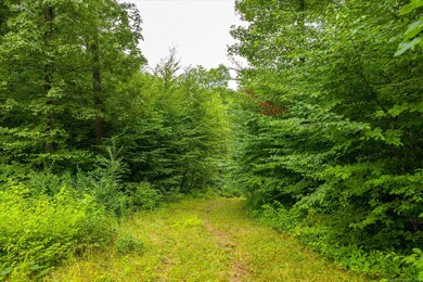 0 Aplin Hill Ln, Woodstock, CT 06282 - photo 4