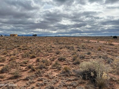 1059 S Laguna Dr, Valle, AZ 86046 - photo 6