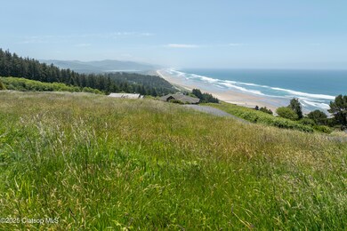 2 Meadow