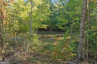 351 Taylors Gin Rd, Temple, GA 30179 - photo 4