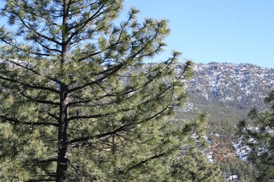 IMG_3752
