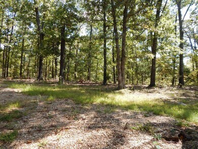 Upper Log Cabin Yard