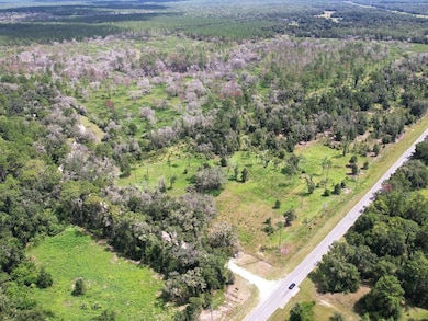 7103 N Lecanto Hwy, Citrus Hills, FL 34442 - photo 3