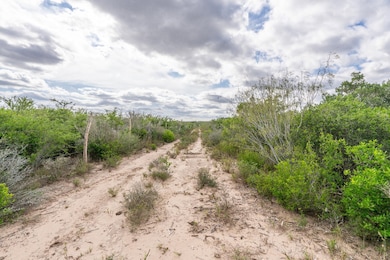 0 Tr 15 Unit 2 unit 20255365, Freer, TX 78357 - photo 5