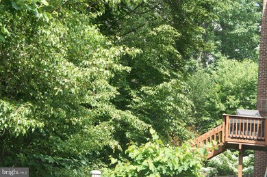 4302 Hollowstone Ct, Chantilly, VA 20151 - photo 3