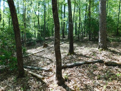 250 Cliffs Falls Pkwy, Salem, SC 29676 - photo 6