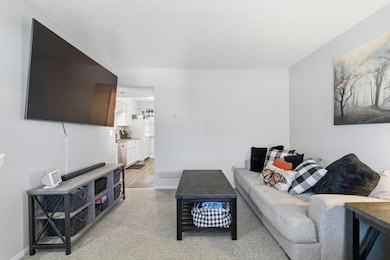 580 Mawyer Dr unit 132, Columbus, OH 43085 - photo 6