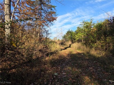 0 Glendale Rd, Highland, WV 26346 - photo 7