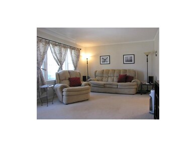 Birght, Open & Neutral Decor