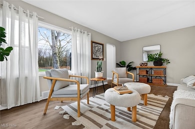 4960 Palmyra Rd SW, Warren, OH 44481 - photo 7