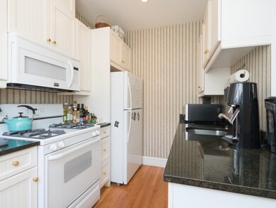 26 Upton St unit 2, Boston, MA 02118 - photo 6