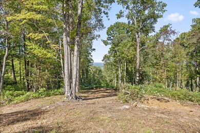 Lot 38 High Summit Dr, Talking Rock, GA 30175 - photo 4