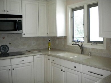 Kitchen Corian  sink