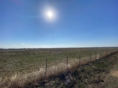 6091 County Road 1010, Joshua, TX 76058 - photo 3