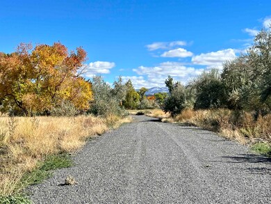 48933 Gaia Dr, Mesa, CO 81643 - photo 4