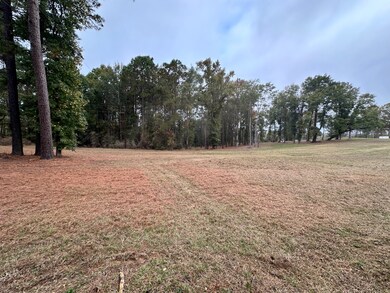 1 Yokum Trail, Many, LA 71449 - photo 3