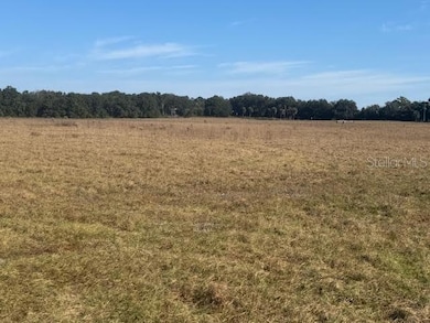 TBD NE 141st St, Citra, FL 32113 - photo 3