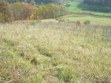 Pasture before clipping