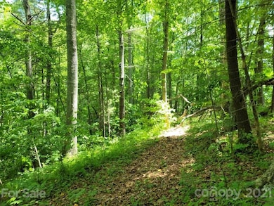 000 Arrowhead Ln unit 13, Burnsville, NC 28714 - photo 5