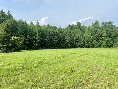 18.2ac Milk Barn Ln Tract 4, Cookeville, TN 38506 - photo 2