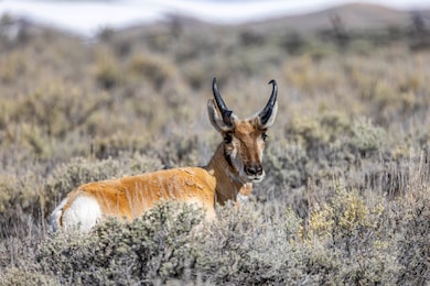 000 Milky Way Rd, Kemmerer, WY 83101 - photo 3