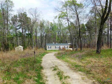 20777 County Road 26, Tyler, TX 75705 - photo 2