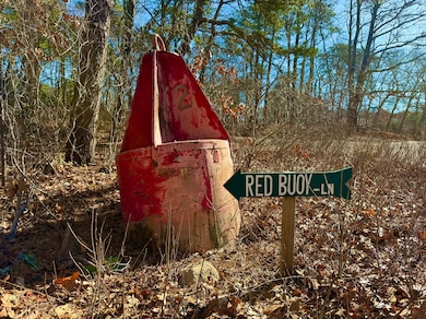 Road Entrance