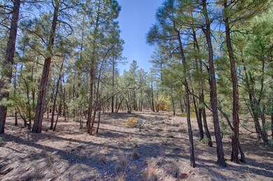 1840 S Bristlecone Dr, Show Low, AZ 85901 - photo 7