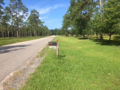 unlisted-address, Crawfordville, FL 32327 - photo 2