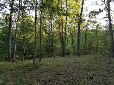 0 N V L Evergreen Dr unit 17049135, White Cloud, MI 49349 - photo 4