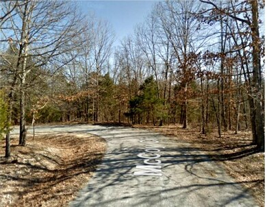 3 Mccoy Cir unit 1098621, Bella Vista, AR 72715 - photo 2