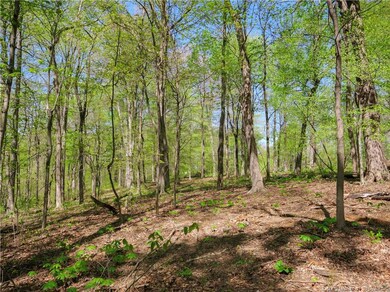0 S Skyline Dr unit Lot 30-31 202407322, Floyds Knobs, IN 47119 - photo 7