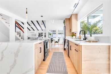Chef's kitchen