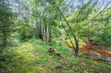 9789 E Moonshine Rd, Poplar, WI 54864 - photo 4