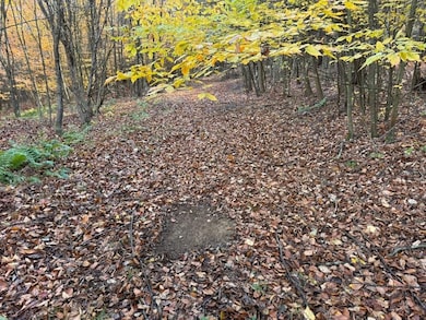 New Millport Rd, Clearfield, PA 16830 - photo 6