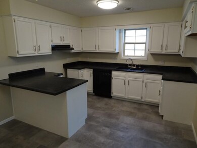 316 S Jefferson St, Hamlet, IN 46532 - photo 2